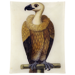 #26 - Vulture