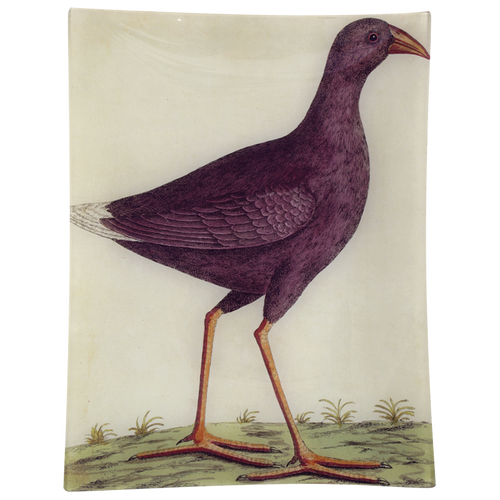 #18 - Purple Bird