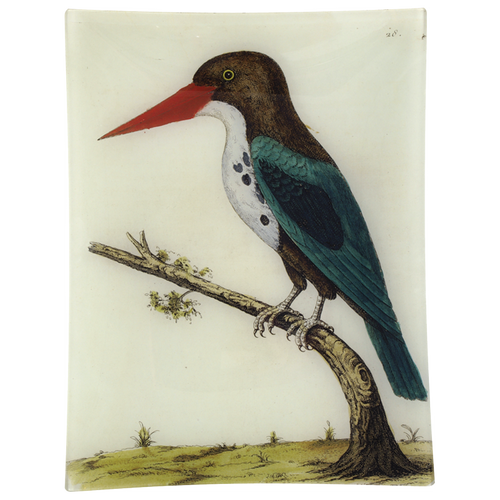 #31 - Green Bengali Bird
