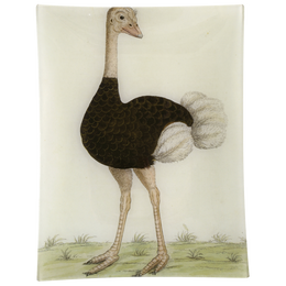 #24 Ostrich - FINAL SALE