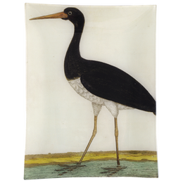 #7 - Black Stork