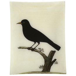 #42 - Black Bird
