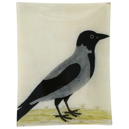 #10 - Royston Crow