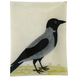 #10 Royston Crow - FINAL SALE