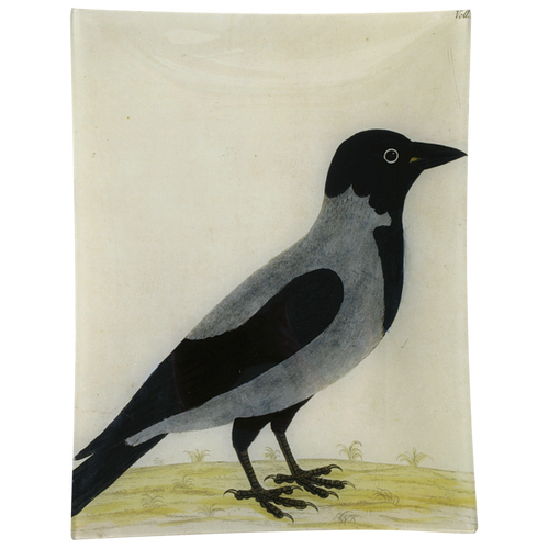#10 - Royston Crow