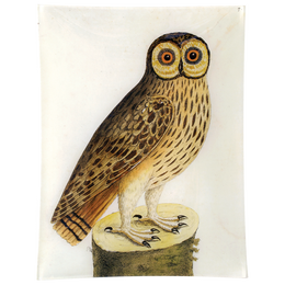 #1 - Great Brown Owl