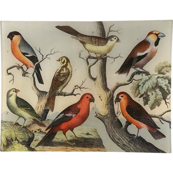 Birds XIV