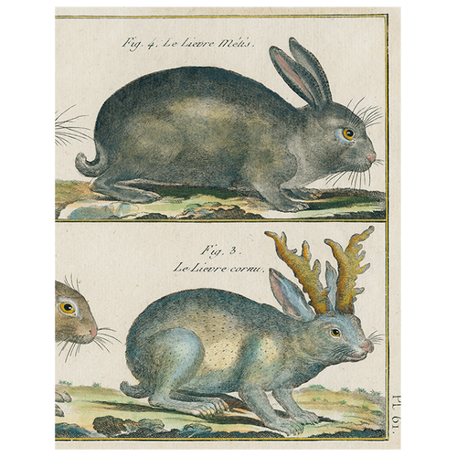 Jacobean Rabbit Rabbit (p 138)
