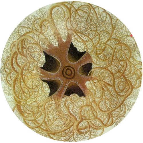 Starfish (B) - FINAL SALE