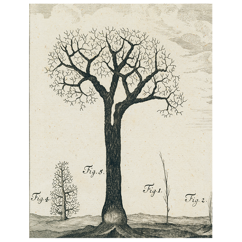 Winter Tree (p 165)