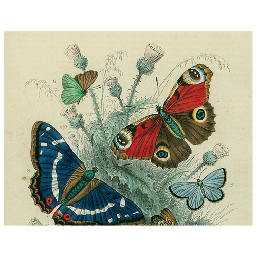 Butterfly - Dancing (p 167)