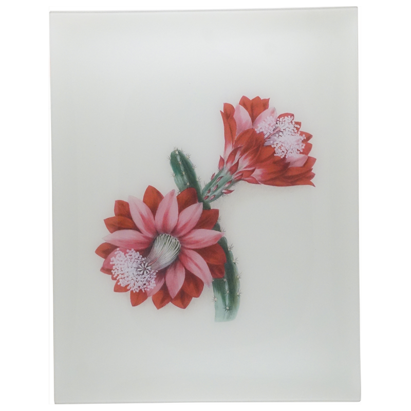 Flora Belles