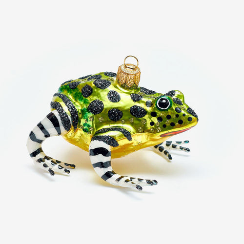 Multicolor Frog Ornament
