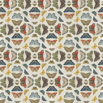 Mirrored Butterflies Parchment