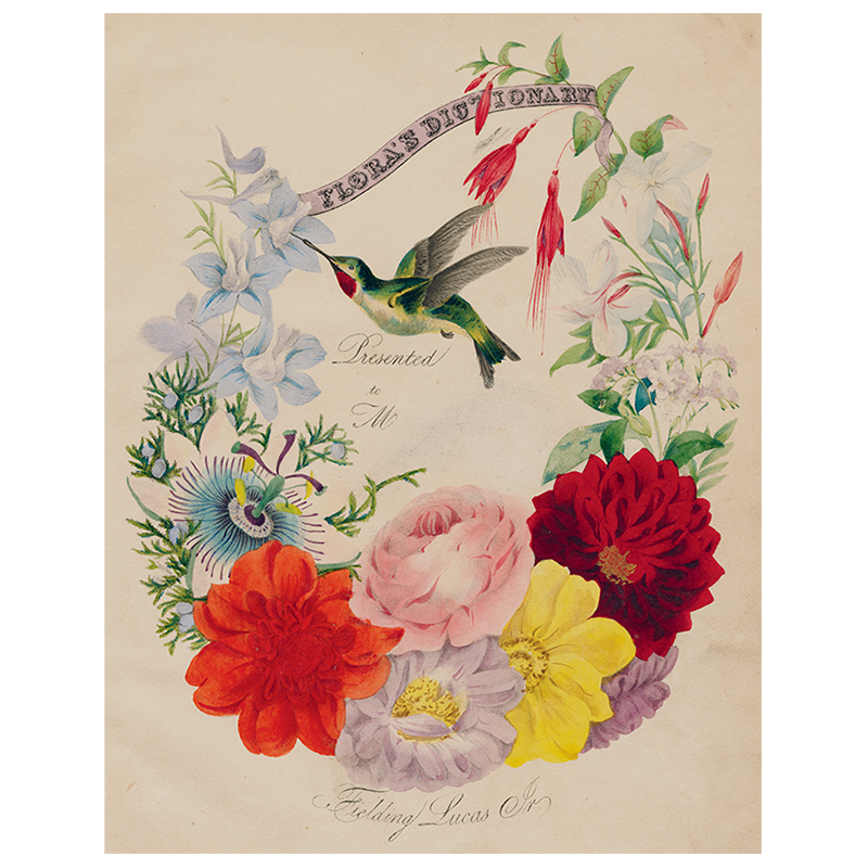 Flora's Dictionary (Hummingbirds) (p 262)