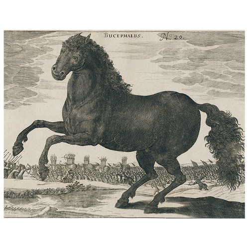 Black Horse (p 269)