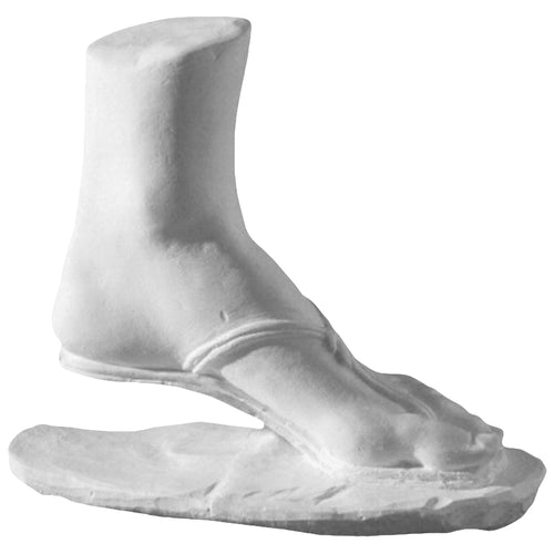 Aphrodite Left Foot Composition Sculpture