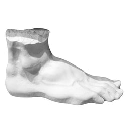 Hercules Foot Composition Sculpture