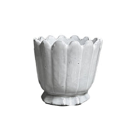 Marguerite Egg Cup