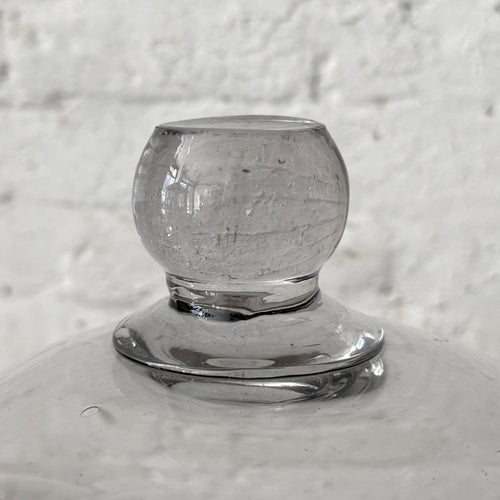 Glass Cloche dome on wooden table