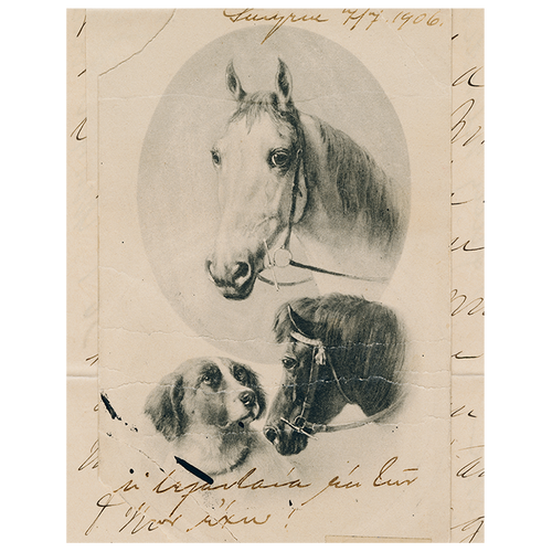 Dog with Horses (p 306)