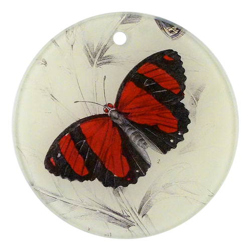 Red Black Butterfly