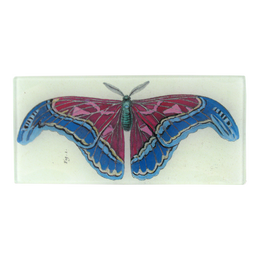 Figure 1 Pink Blue Butterfly