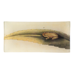 Frog on Leaf- FINAL SALE