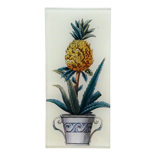Potted Pineapple