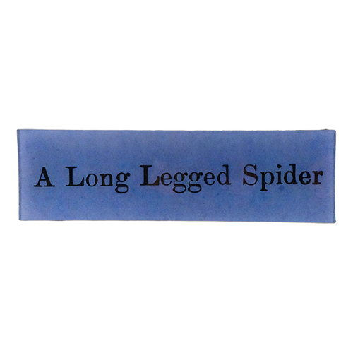 A Long Legged Spider - FINAL SALE