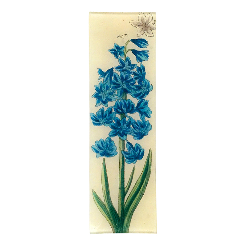 Blue hyacinth flowers and green leaves on a three and a half inch by twelve inch glass tray. 