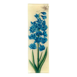 Blue Hyacinth - FINAL SALE