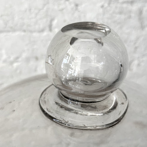 Glass Cloche dome on wooden table