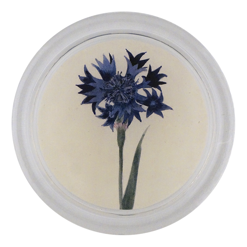 Blue Bottle