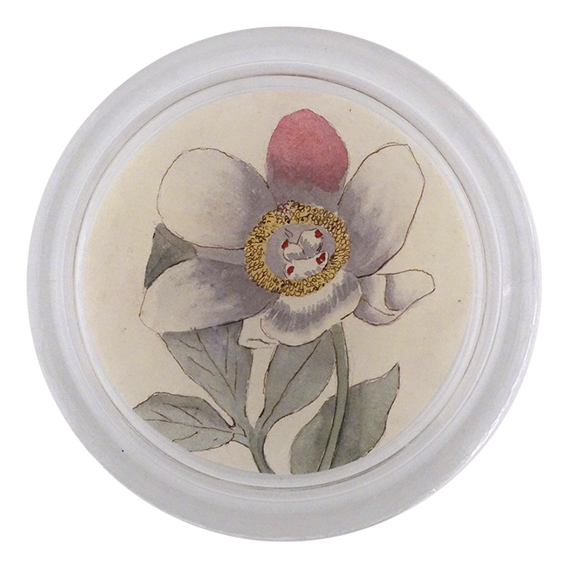Peony