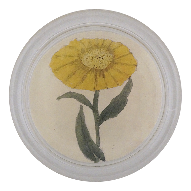 Yellow Flower