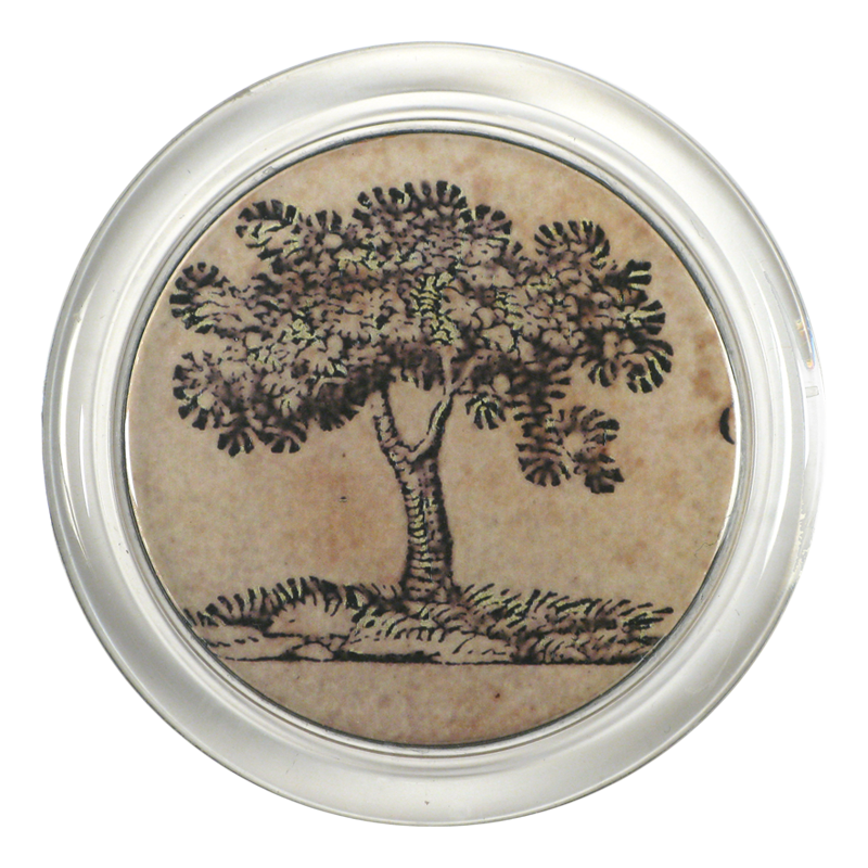 Iconic - Tree — John Derian Company Inc