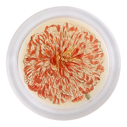 john derian Ranunculus 851-B 4 john derian Ranunculus 851-B 4