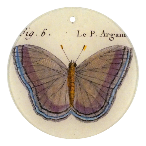 Fig. 6 Argante