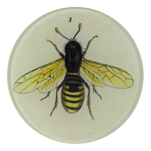 Bee three is a yellow and black bee with yellow wings and is hand made to order with decoupage. 