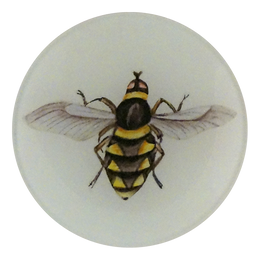 A four inch round decoupage plate titled Diamond Bee