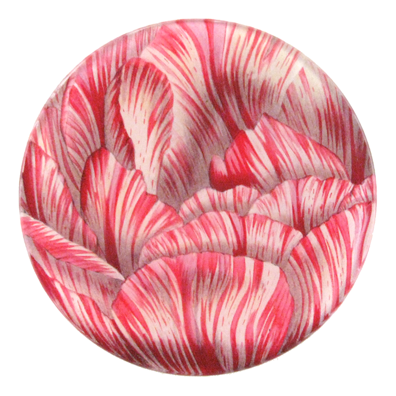 A four inch round handmade decoupage plate featuring a close up of a Double Tulip