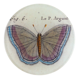 Fig. 6 Argante Butterfly - FINAL SALE