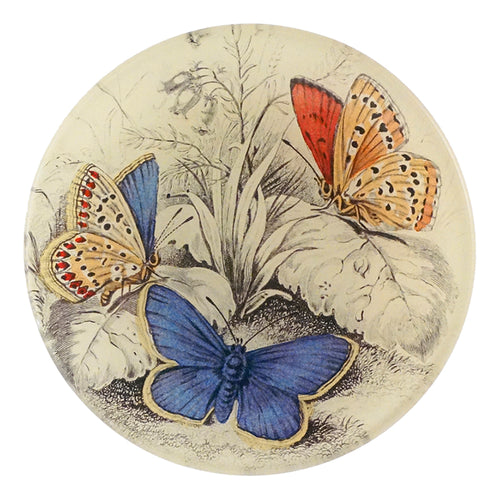 Copper & Common (Blue Butterflies (Entomology)) in a four inch round handmade decoupage plate