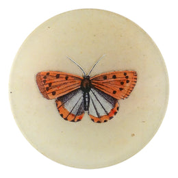 Coral Butterfly four inch round handmade decoupage plate crafted in our New York City studio