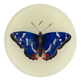 A four inch round decoupage plate titled Deep Blue Butterfly