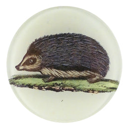 A four inch round handmade decoupage plate titled Hedgehog