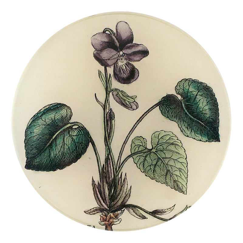A four inch round handmade decoupage plate featuring a vintage drawing of the flower Viola