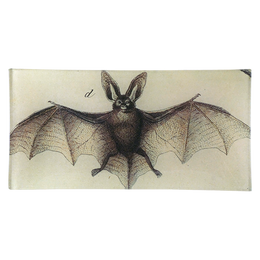Bat D