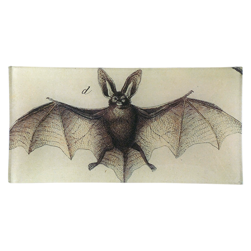 Bat D